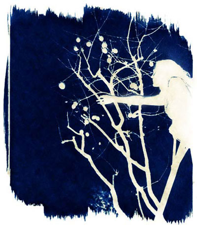 splash cyanotype